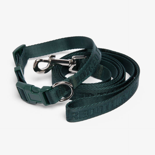 Gary Dog Collar & Leash Set