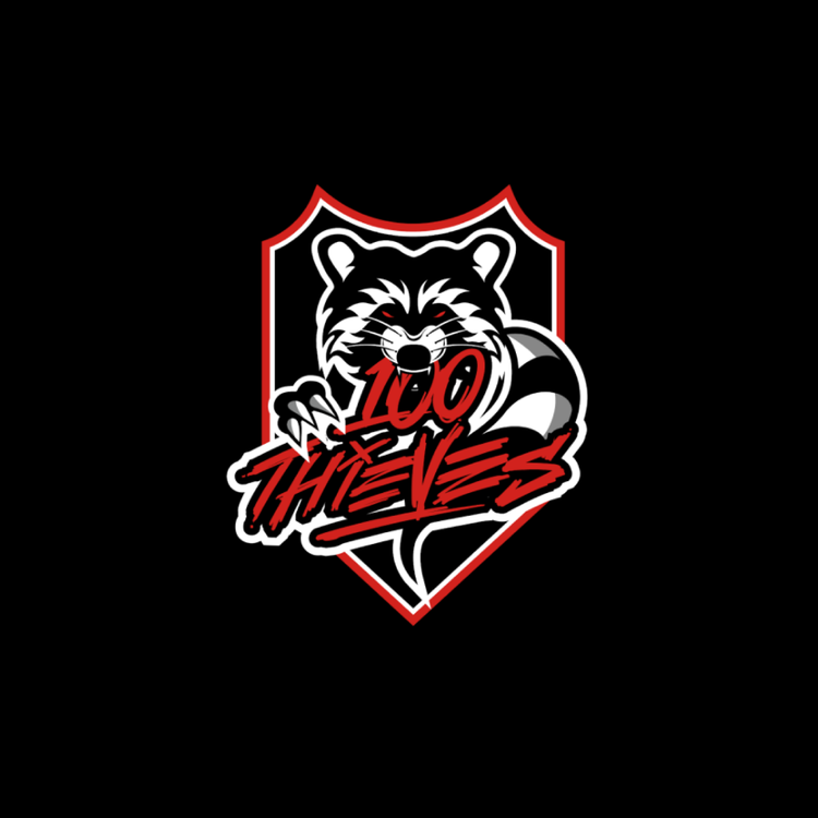 100 Thieves x Crazy Raccoon Partnership