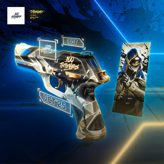 VALORANT skin gun and skin card