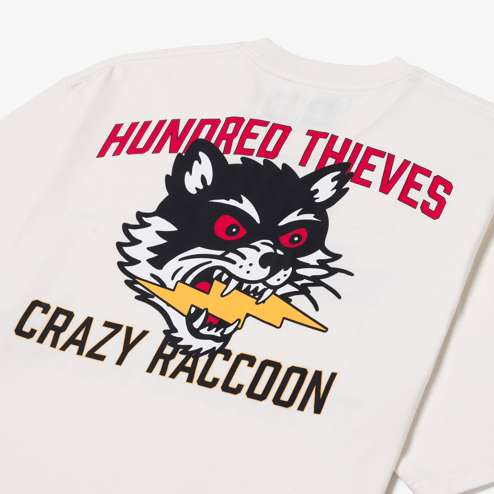 VCR vaultroom Crazy new crazy Selly Vaultroom Crazyraccoon VCR GTA
