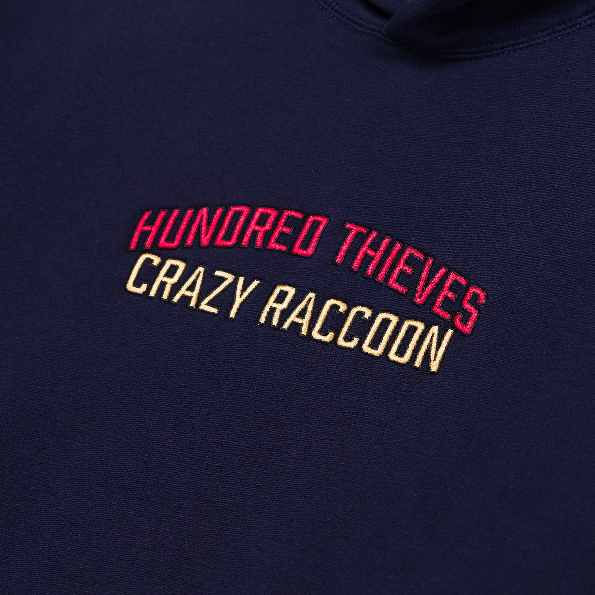 CR X 100T LA to Tokyo Hoodie