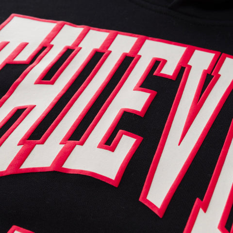 Puff Print Thieves logo on Sophomore Hoodie - Black