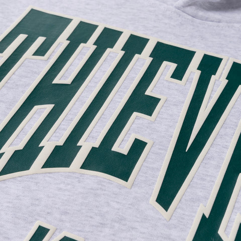 Puff Print Thieves logo on Sophomore Hoodie - Ath. Heather