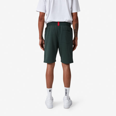 Back of 100 Thieves Foundation slim fit sweat short in alpine
